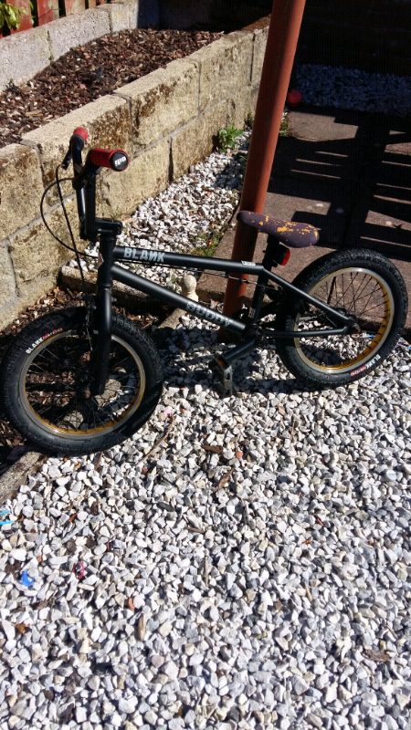 blank buddy bmx